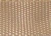 25mm Lightweight Webbing
